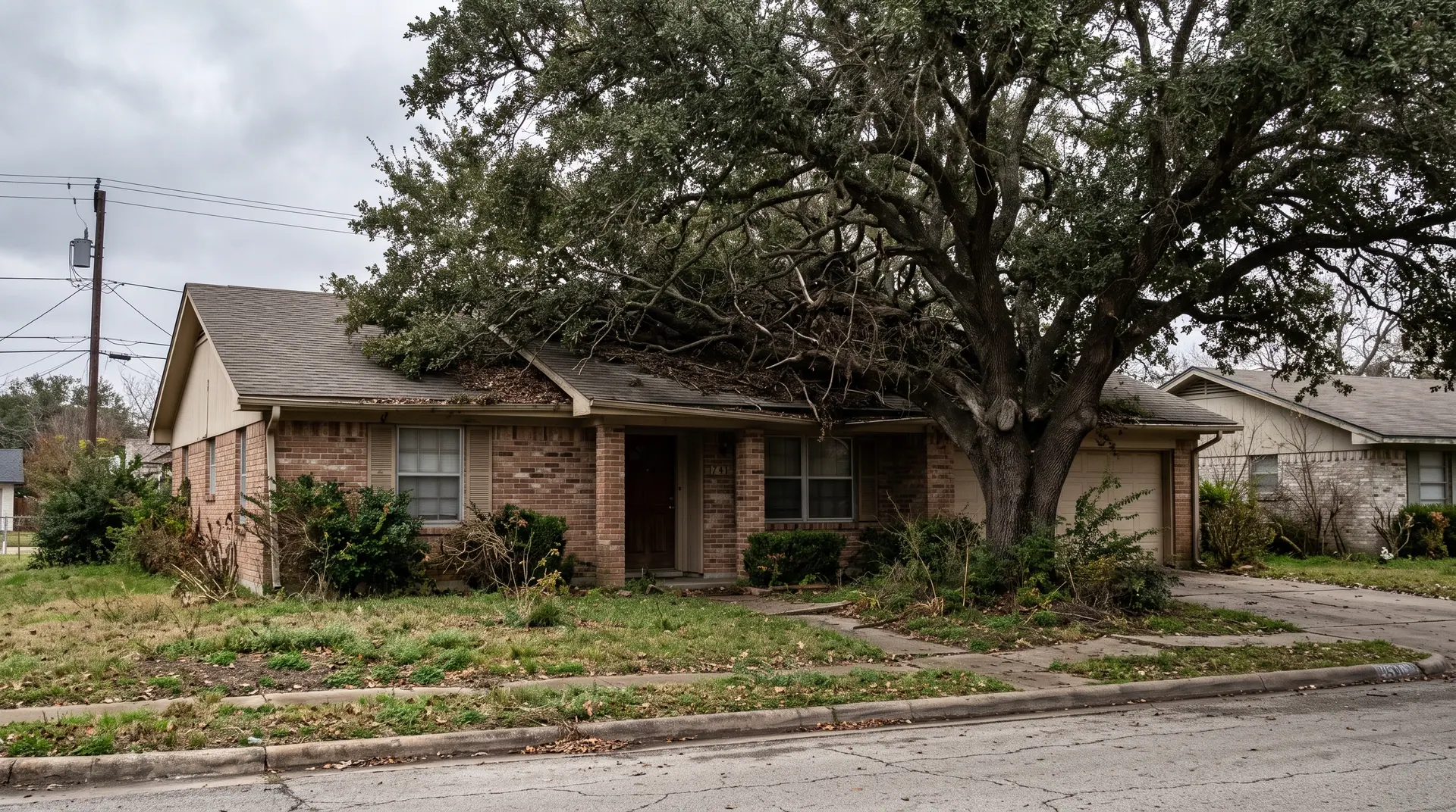 An overgrown live oak crowding the roofline of a suburban Austin home before pruning